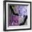 Shoes I-Mindy Sommers-Framed Giclee Print