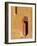Shoes outside side door into the Mosque at Djenne, Mali, West Africa-Janis Miglavs-Framed Photographic Print