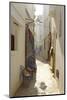 Shop in an Alley, Asilah, Atlantic Coast, Morocco, North Africa, Africa-Simon Montgomery-Mounted Photographic Print