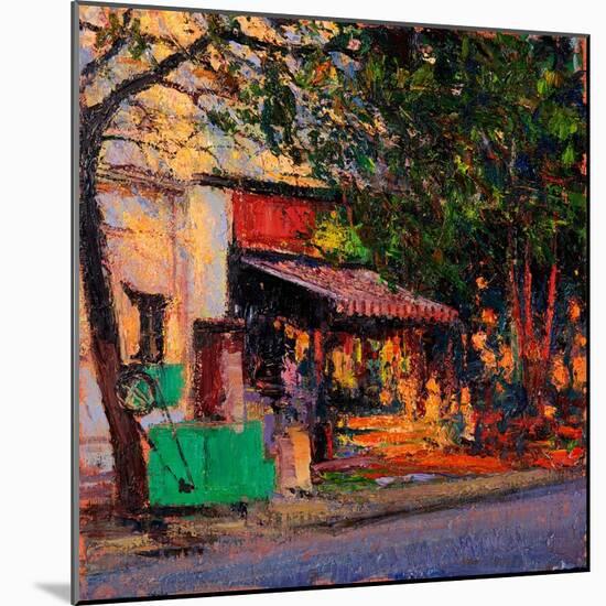 Shop in Last Light, Pondicherry, 2017-Andrew Gifford-Mounted Giclee Print