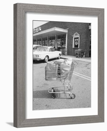 Shopping Cart in Grocery Parking Lot-Philip Gendreau-Framed Photographic Print