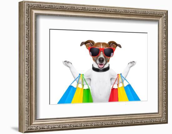 Shopping Dog-Javier Brosch-Framed Photographic Print