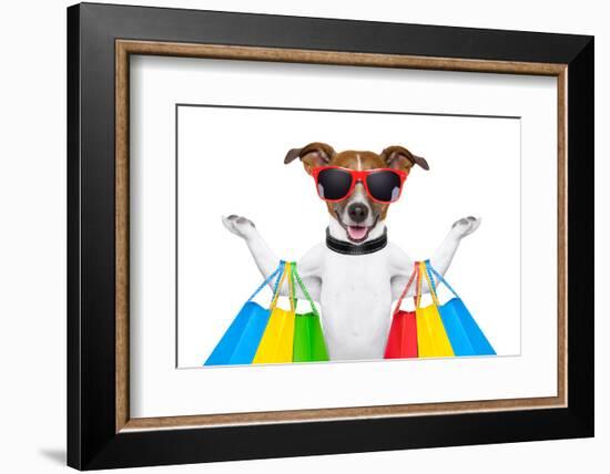 Shopping Dog-Javier Brosch-Framed Photographic Print