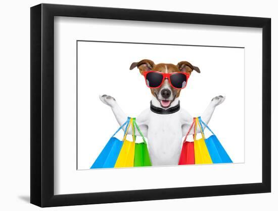 Shopping Dog-Javier Brosch-Framed Photographic Print