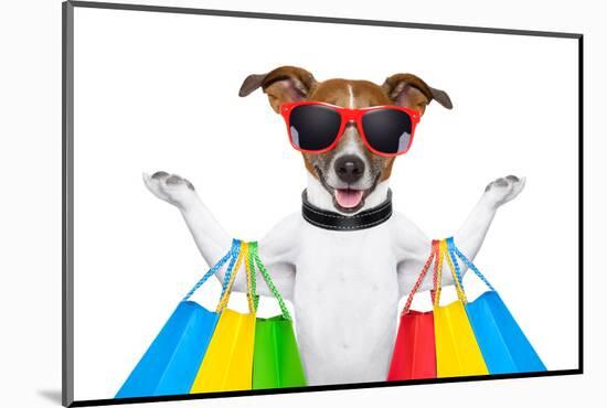 Shopping Dog-Javier Brosch-Mounted Photographic Print