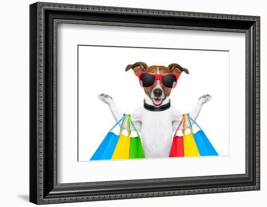 Shopping Dog-Javier Brosch-Framed Photographic Print