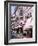 Shopping Scenic, Cannes, France-Bill Bachmann-Framed Photographic Print