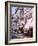 Shopping Scenic, Cannes, France-Bill Bachmann-Framed Photographic Print