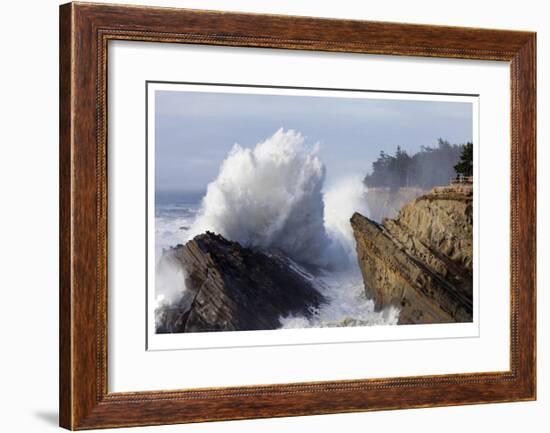 Shore Acres I-Donald Paulson-Framed Giclee Print