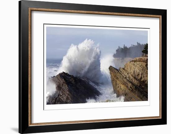 Shore Acres I-Donald Paulson-Framed Giclee Print