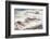 Shore Acres State Park, Oregon, USA. Blur of waves flowing over rocks.-Emily Wilson-Framed Photographic Print