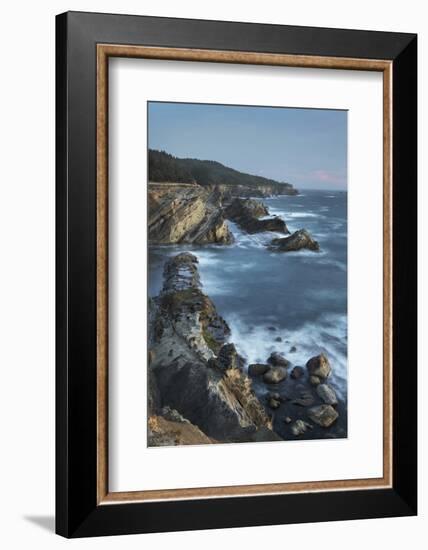 Shore Acres State Park, Oregon.-Alan Majchrowicz-Framed Photographic Print