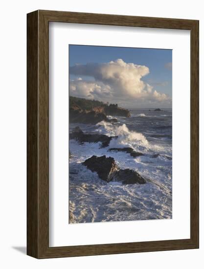 Shore Acres State Park, Oregon.-Alan Majchrowicz-Framed Photographic Print