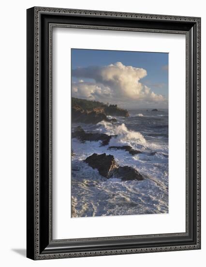 Shore Acres State Park, Oregon.-Alan Majchrowicz-Framed Photographic Print