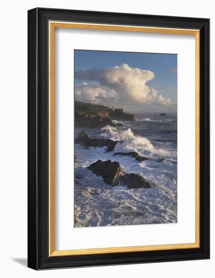 Shore Acres State Park, Oregon.-Alan Majchrowicz-Framed Photographic Print