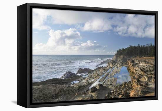 Shore Acres State Park, Oregon.-Alan Majchrowicz-Framed Premier Image Canvas