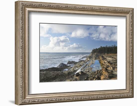 Shore Acres State Park, Oregon.-Alan Majchrowicz-Framed Photographic Print