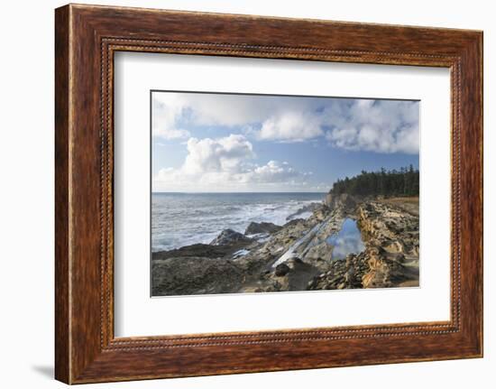 Shore Acres State Park, Oregon.-Alan Majchrowicz-Framed Photographic Print