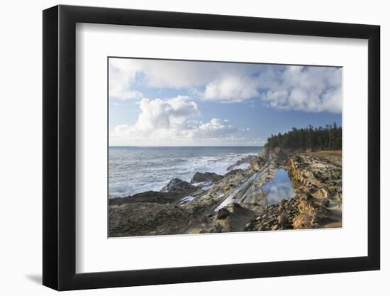 Shore Acres State Park, Oregon.-Alan Majchrowicz-Framed Photographic Print