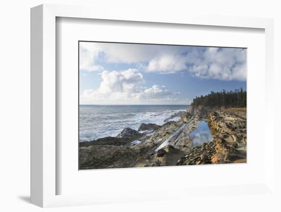 Shore Acres State Park, Oregon.-Alan Majchrowicz-Framed Photographic Print