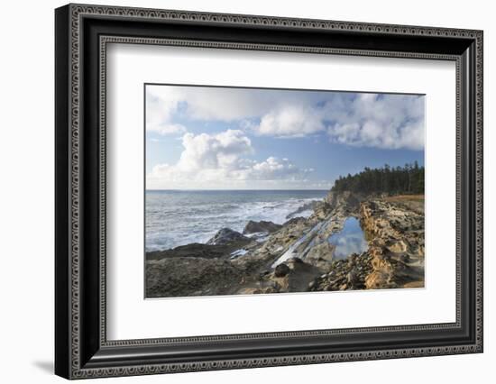 Shore Acres State Park, Oregon.-Alan Majchrowicz-Framed Photographic Print