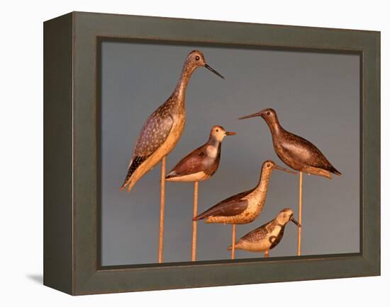 Shore Bird Decoys, USA-Gavriel Jecan-Framed Premier Image Canvas