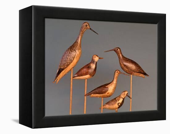 Shore Bird Decoys, USA-Gavriel Jecan-Framed Premier Image Canvas