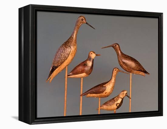 Shore Bird Decoys, USA-Gavriel Jecan-Framed Premier Image Canvas