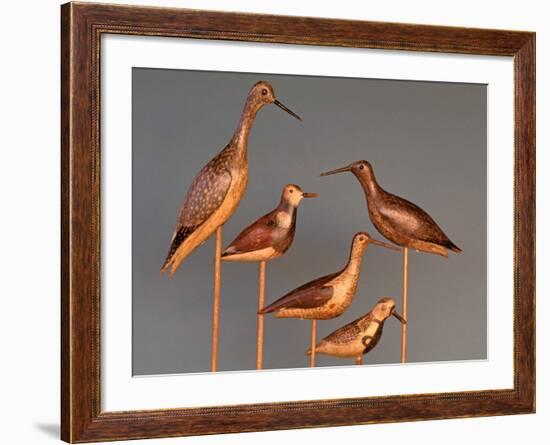 Shore Bird Decoys, USA-Gavriel Jecan-Framed Photographic Print