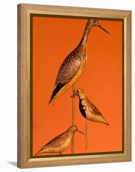 Shore Bird Decoys, USA-Gavriel Jecan-Framed Premier Image Canvas