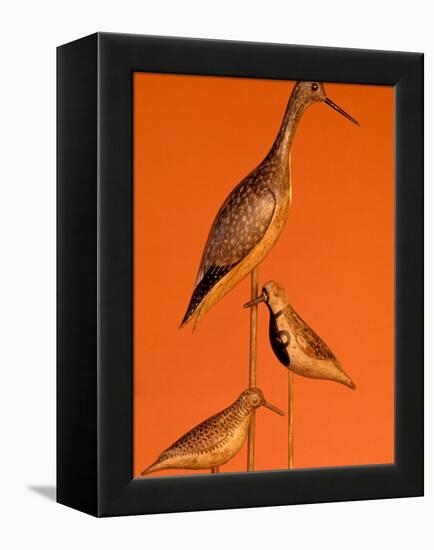 Shore Bird Decoys, USA-Gavriel Jecan-Framed Premier Image Canvas