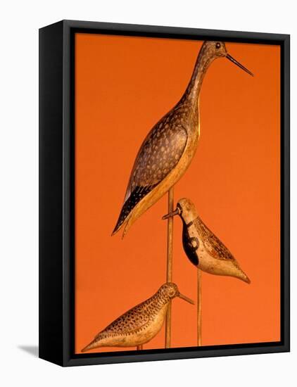 Shore Bird Decoys, USA-Gavriel Jecan-Framed Premier Image Canvas