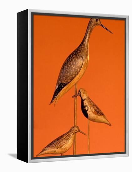 Shore Bird Decoys, USA-Gavriel Jecan-Framed Premier Image Canvas