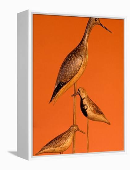 Shore Bird Decoys, USA-Gavriel Jecan-Framed Premier Image Canvas