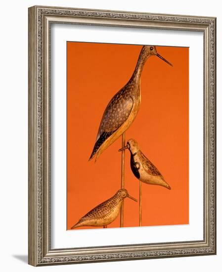 Shore Bird Decoys, USA-Gavriel Jecan-Framed Photographic Print