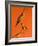 Shore Bird Decoys, USA-Gavriel Jecan-Framed Photographic Print