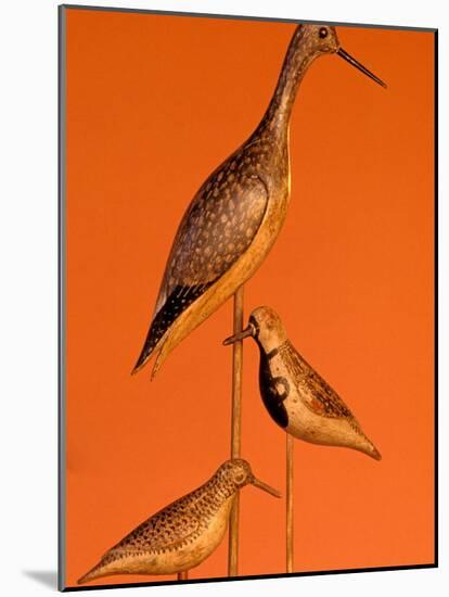 Shore Bird Decoys, USA-Gavriel Jecan-Mounted Photographic Print