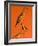 Shore Bird Decoys, USA-Gavriel Jecan-Framed Photographic Print