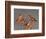 Shore Bird Decoys, USA-Gavriel Jecan-Framed Photographic Print