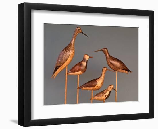 Shore Bird Decoys, USA-Gavriel Jecan-Framed Photographic Print