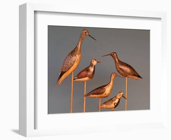 Shore Bird Decoys, USA-Gavriel Jecan-Framed Photographic Print