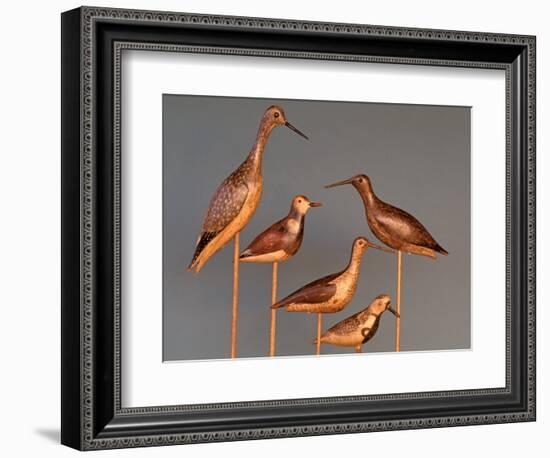 Shore Bird Decoys, USA-Gavriel Jecan-Framed Photographic Print