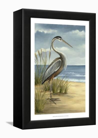 Shore Bird I-Ethan Harper-Framed Stretched Canvas