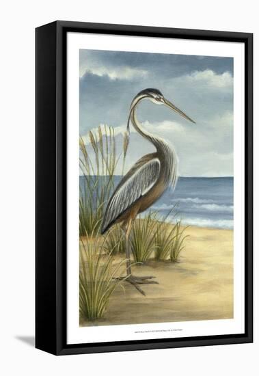 Shore Bird I-Ethan Harper-Framed Stretched Canvas