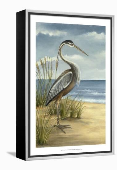 Shore Bird I-Ethan Harper-Framed Stretched Canvas