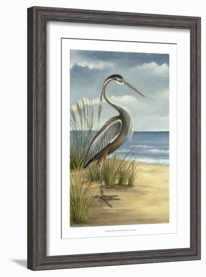 Shore Bird I-Ethan Harper-Framed Art Print