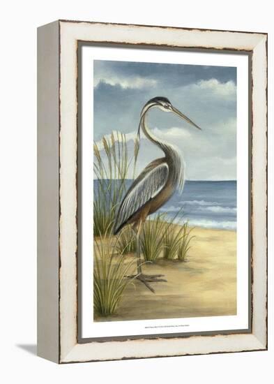 Shore Bird I-Ethan Harper-Framed Stretched Canvas