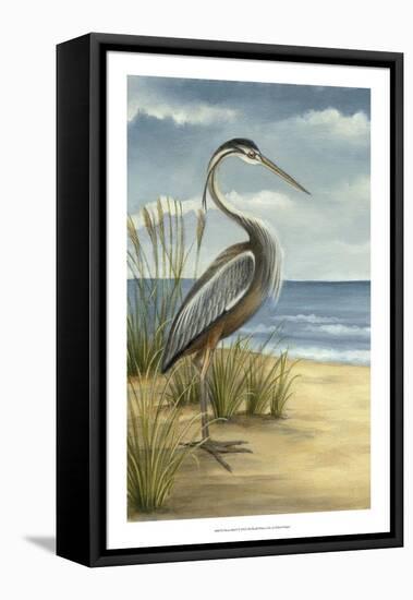 Shore Bird I-Ethan Harper-Framed Stretched Canvas