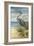 Shore Bird II-Ethan Harper-Framed Art Print