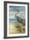 Shore Bird II-Ethan Harper-Framed Art Print